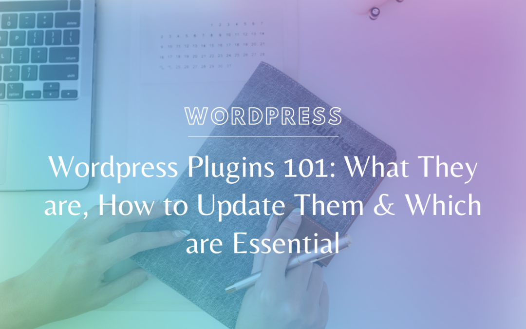 WordPress Plugins 101: What They are, How to Update Them & Which are Essential