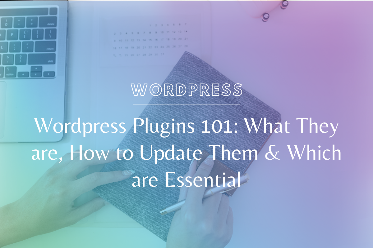 WordPress Plugins 101: What They are, How to Update Them & Which are Essential